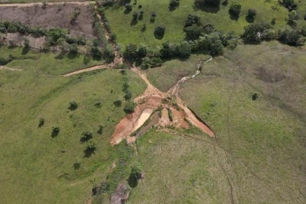Venta de finca margarita chepo 200 has