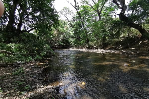 Finca en chame