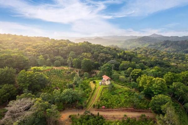 Finca de café en venta en el cascajal, la pintada