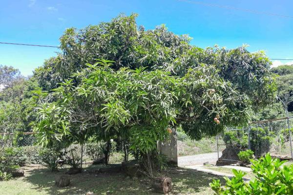Cozy home for sale in palmira, boquete chiriqui