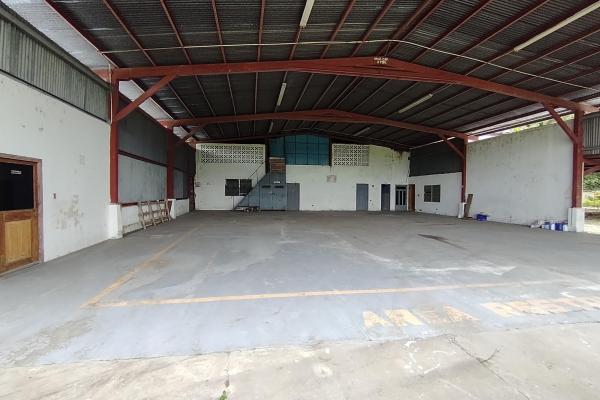 Warehouse with 1 hectare, coquito, david