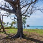 Fantastic titled beachfront lot