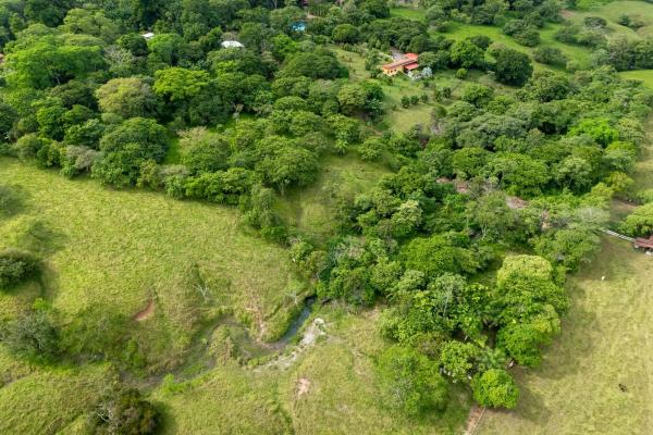 Se vende 2.02 hectareas planas en las lajas chiriqui