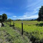 Land for sale in renacimiento chiriqui