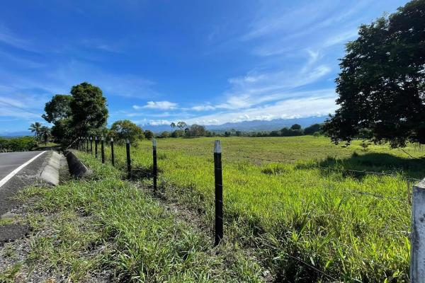 Venta terreno en monte lirio, renacimiento chiriqui