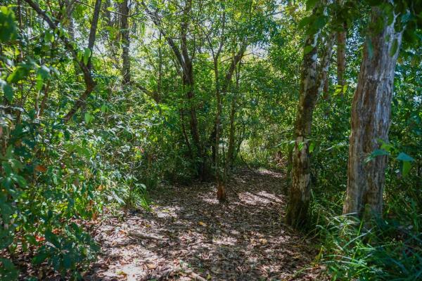 2-hectare beachfront property