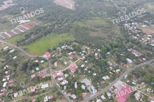 Venta de terreno para desarrollo de casas en arraijan