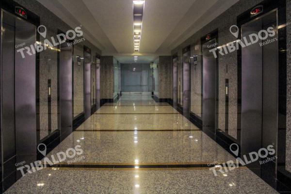Alquiler oficina sin divisiones en torre bicsa, avenida balboa