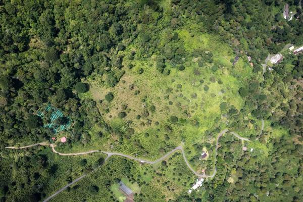 12 plus - ha producing coffee farm in boquete