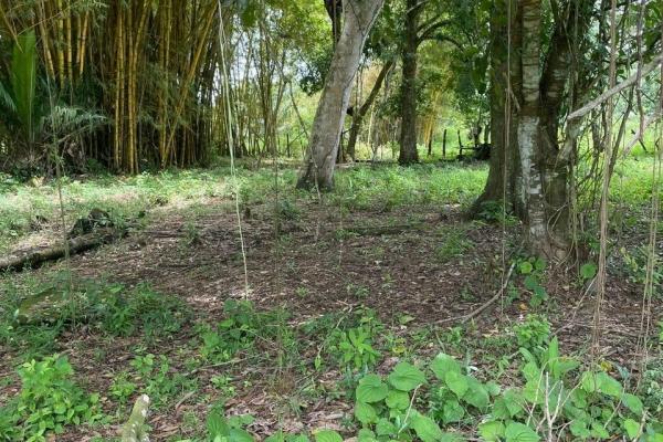 Three plots of land for sale near dolega, boquete