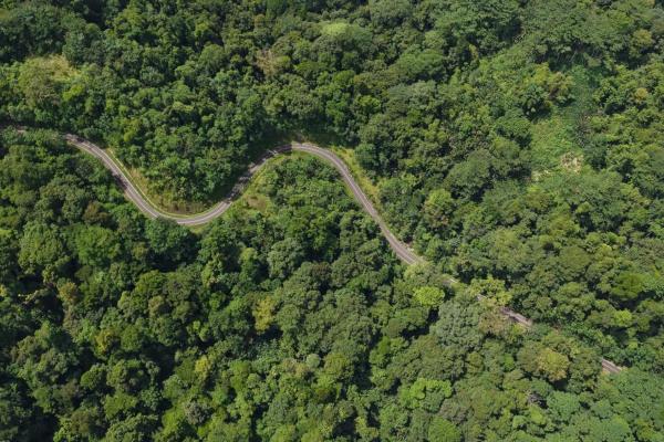 Terreno agrícola de 110 hectáreas frente al mar