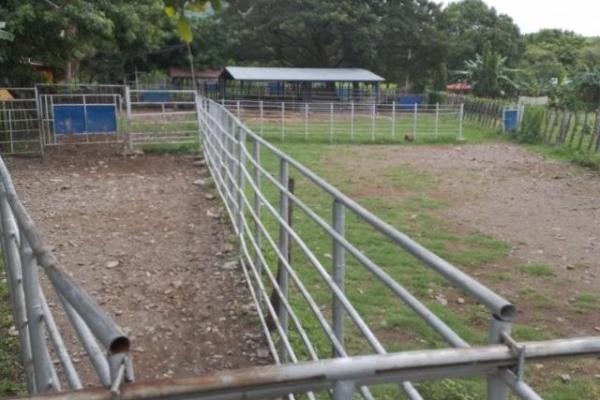 Fincas ganaderas en chame