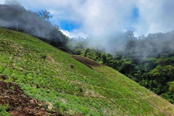 Finca agrícola en venta – cerro punta, chiriquí