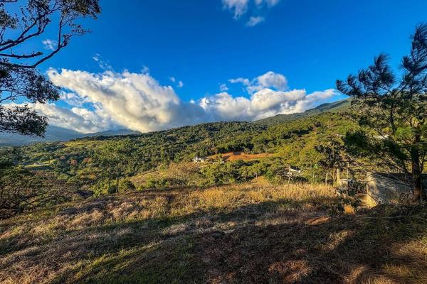 Lote con vista a la montaña en venta en jaramillo, boquete