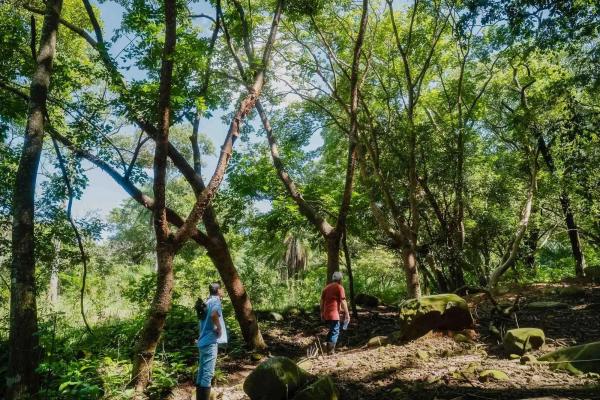 Expansive land for sale in las lomas, david