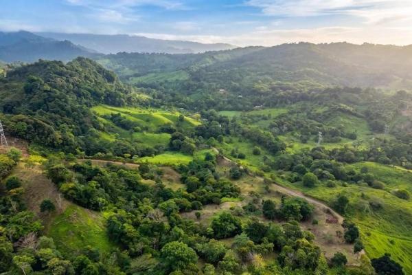 Finca de café en venta en el cascajal, la pintada