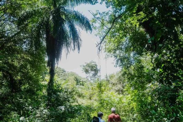 Expansive land for sale in las lomas, david
