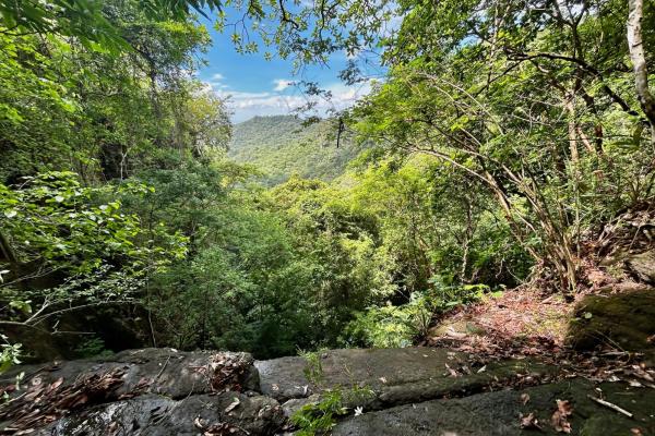 10ha estate in sorá with forest & waterfall!