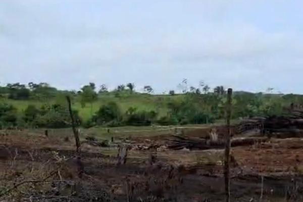 Monte viejo terreno en venta