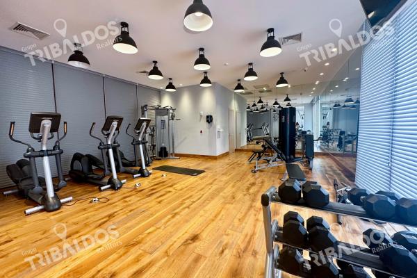 Furnished apartment rental in ocean reef, punta pacifica