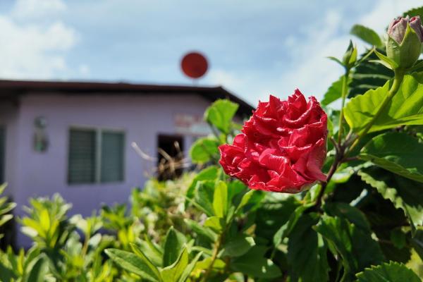 Downtown boquete corner property