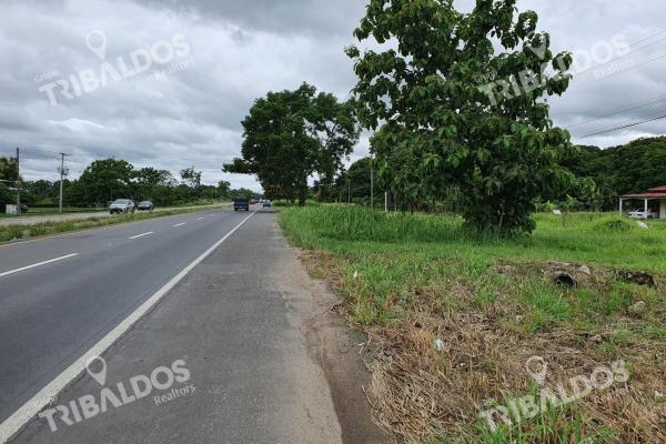 Venta de terreno en penonomé