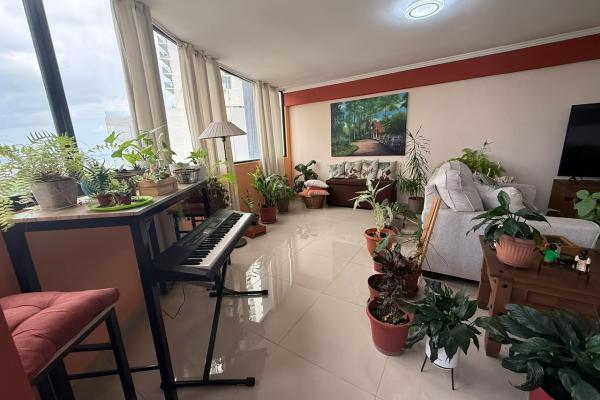 Alquiler de apartamento en ph rocamar