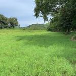 5 hectare plot of land for sale in penonomé