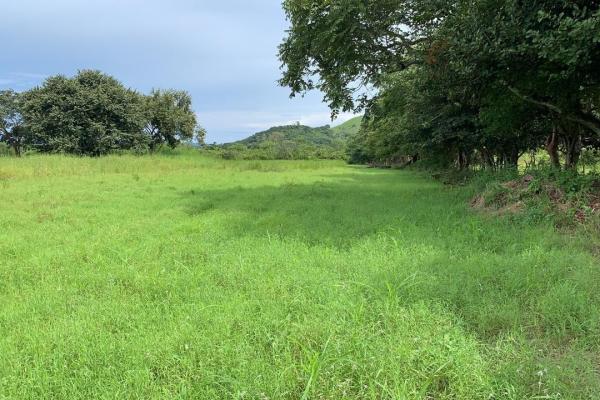 5 hectare plot of land for sale in penonomé