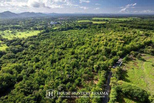 Terreno urbanizable de 11 hectáreas en venta - bagalá, panamá