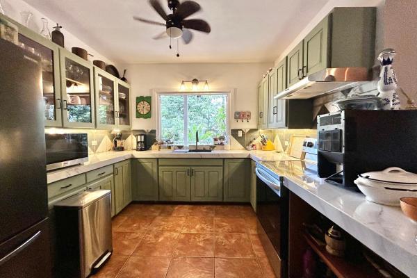 Tropical caribbean estate with guest cabin & pool