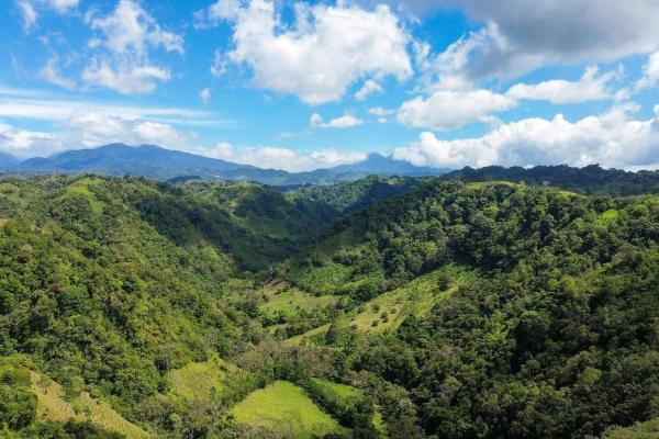 Amplia propiedad de 146.652 ha con fuentes de agua