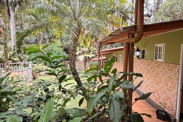 House for sale in el nido, cerro azul.