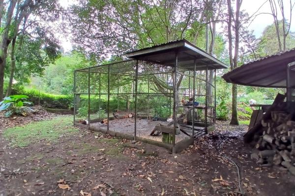 Beautiful park property in high-altitude location