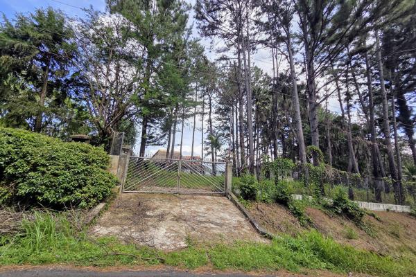 Venta de terreno en sora bejuco