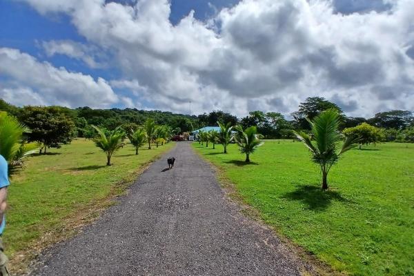 Finca bien concebida en una zona tranquila