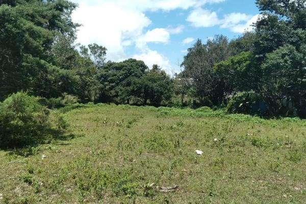 Land for sale in volcancito chiriqui