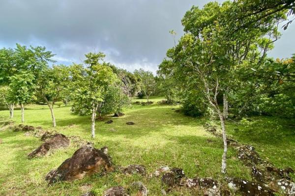 Mountain finca in chica