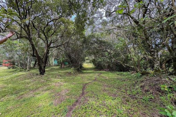 Spacious 9,229 m² flat lot in alto boquete