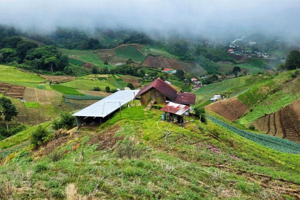 Finca agrícola en venta – cerro punta, chiriquí