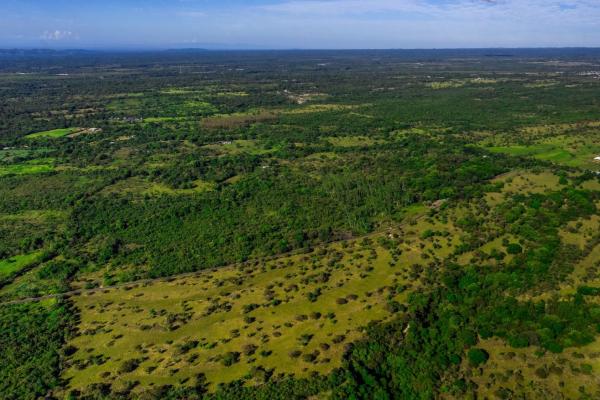 10 hectares for sale in caldera boquete