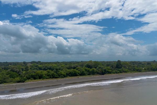 +9 hectares of flat beachfront land for sale