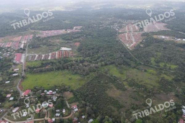 Venta de terreno para desarrollo de casas en arraijan