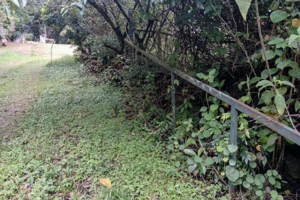 Amplio terreno plano de 9.229 m² en alto boquete