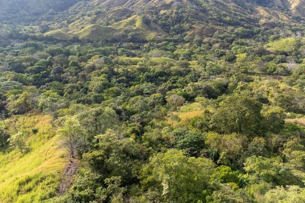Cambutal lush property for sale near town