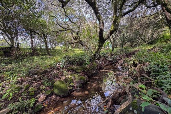 Spacious 9,229 m² flat lot in alto boquete