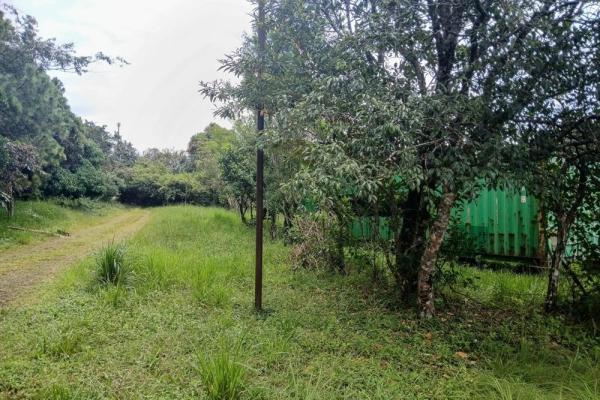 Amplio terreno plano de 9.229 m² en alto boquete