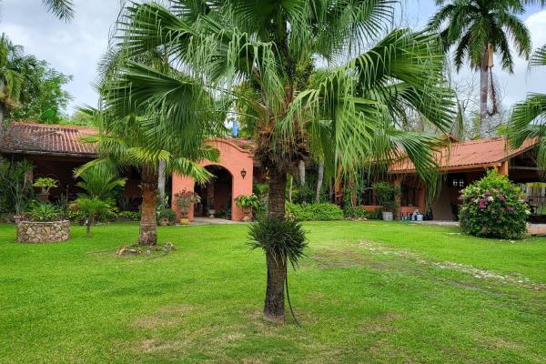Se vende casa con plantación en nueva gorgona, chame