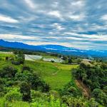 Finca agrícola en venta – rovira, dolega, potrerillos