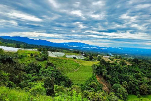 Finca agrícola en venta – rovira, dolega, potrerillos